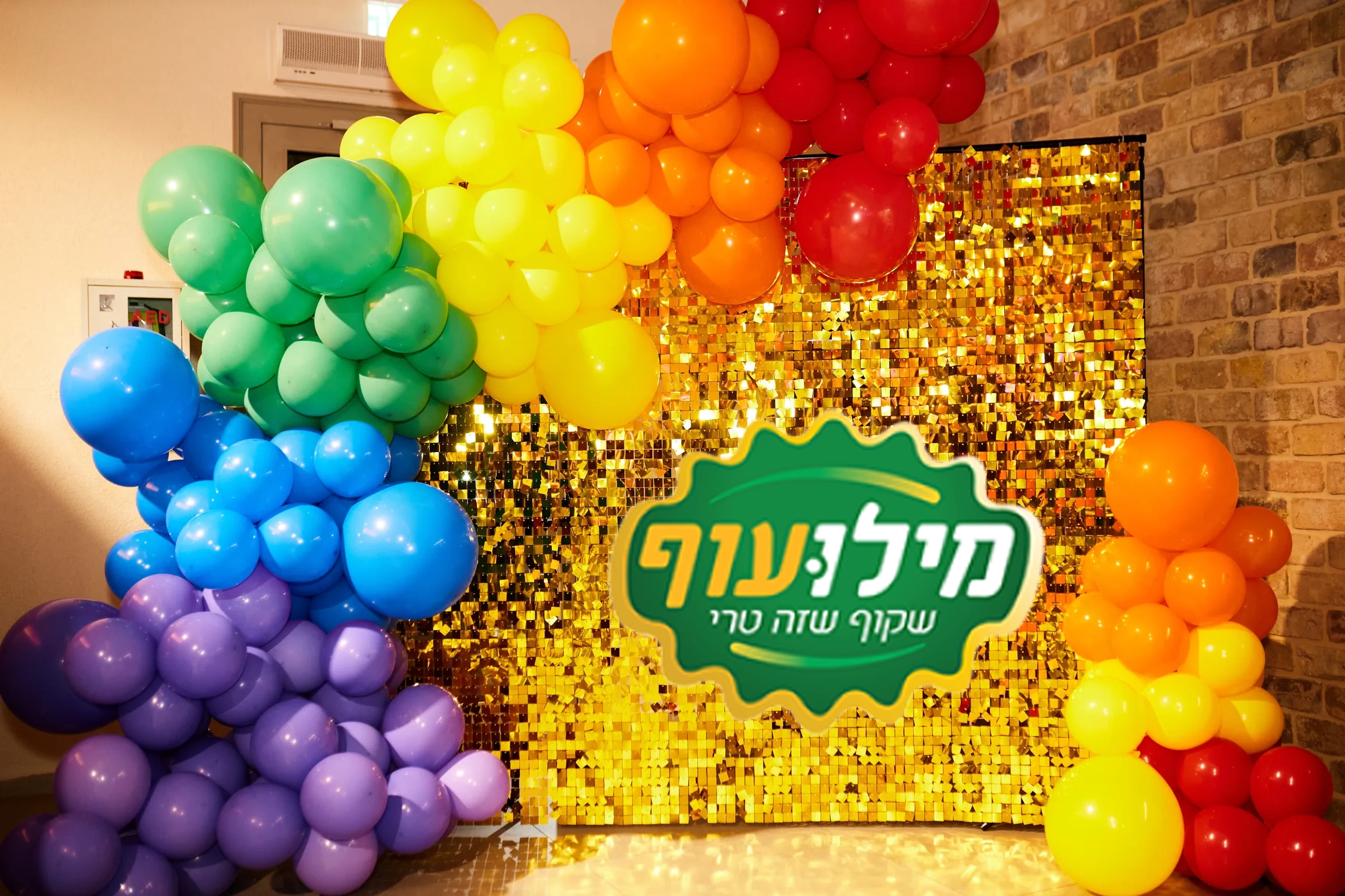 עיצוב בלונים לעסקים - d-2 | Argaman Events - עיצוב בלונים לאירוע (d-2)